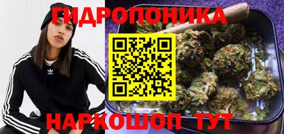 ALPHA-PVP Гусев