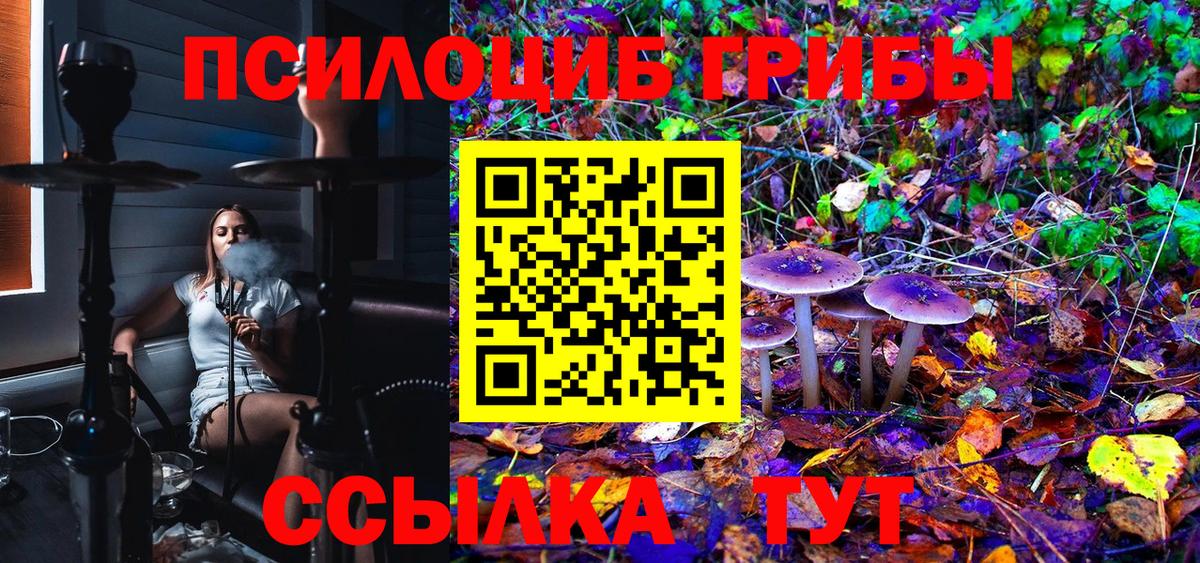 Верхняя Пышма  Псилоцибиновые грибы Psilocybine cubensis  Псилоцибиновые грибы Psilocybe  Вход с VPN 
